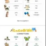 Animali in inglese