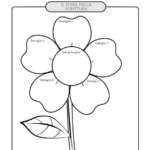 Fiore-della-scrittura