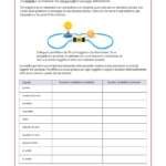 Esperimento su conduttori e isolanti