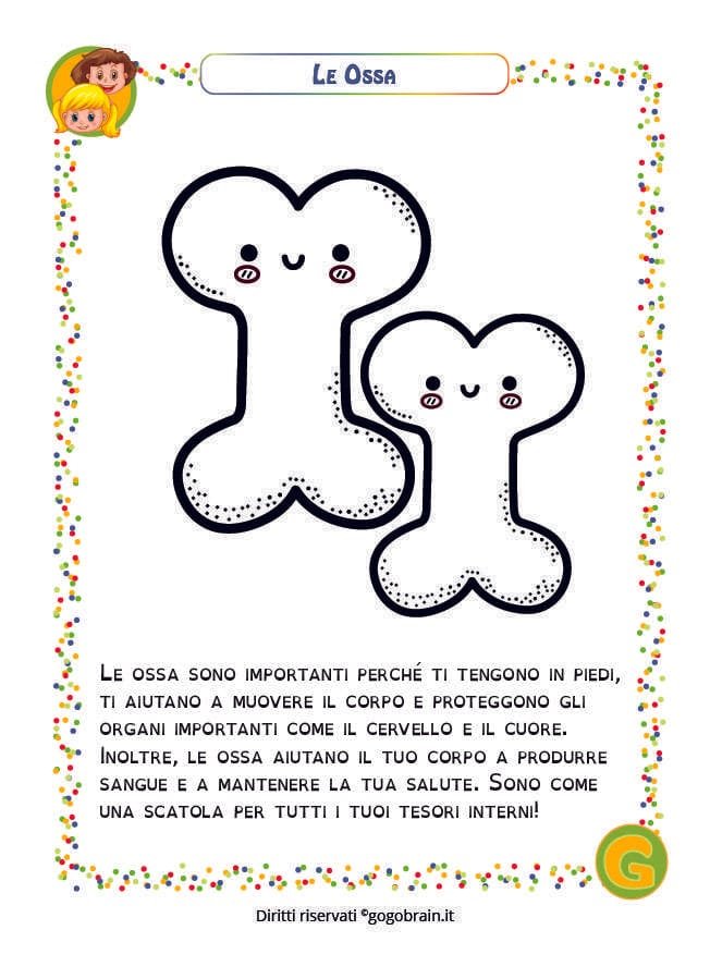 Scheda per bambini sulle ossa del corpo umano