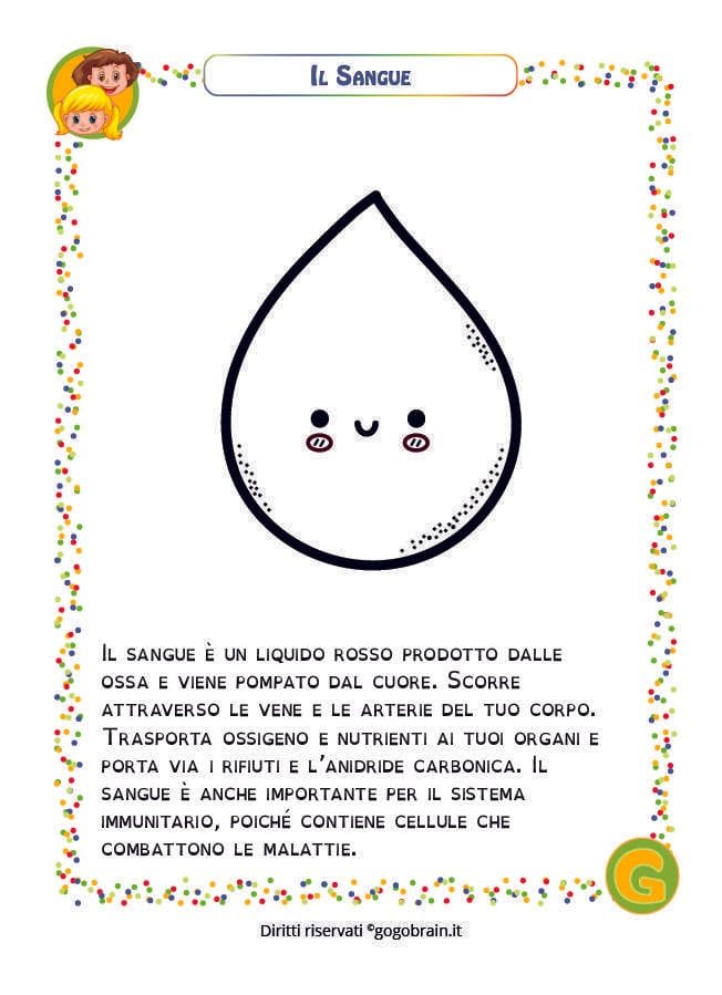 Scheda per bambini sul sangue