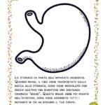Scheda per bambini sullo stomaco