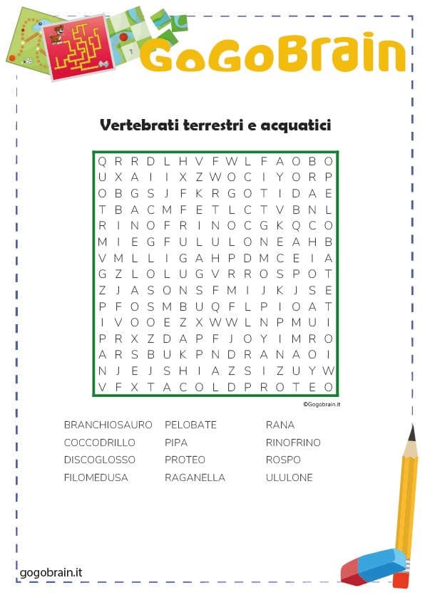 Parole intrecciate con gli anfibi