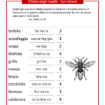 Esercizio sulle sillabe tema insetti