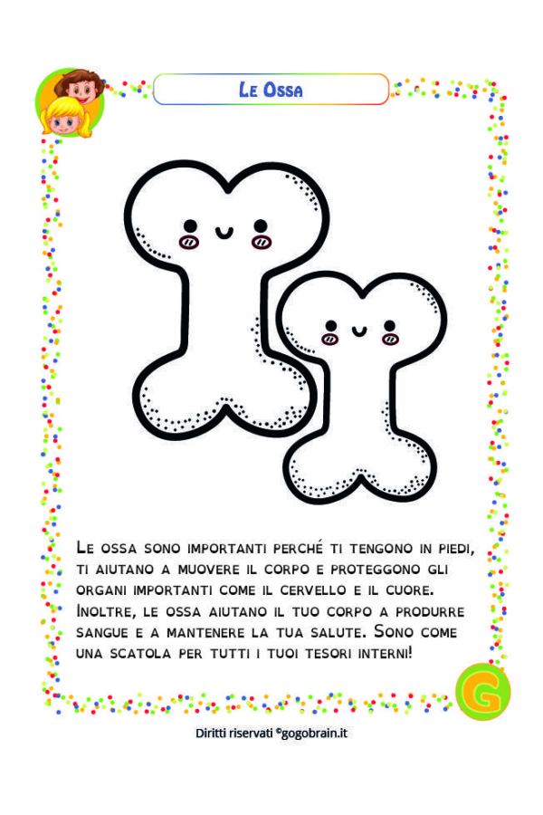 Alla scoperta del nostro corpo - Le ossa