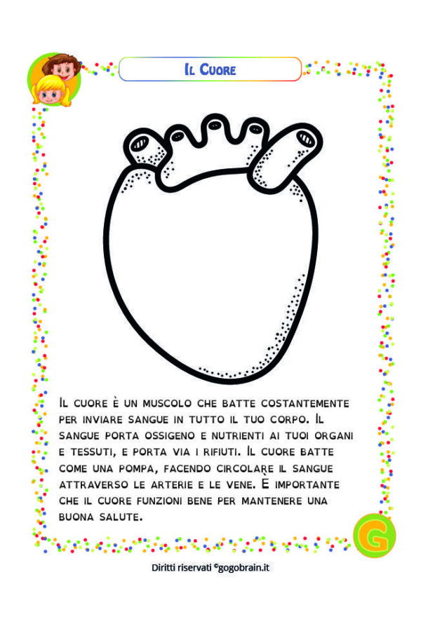 Alla scoperta del nostro corpo - Il cuore