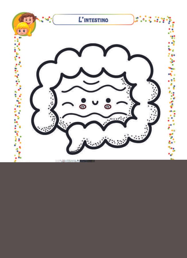 Alla scoperta del nostro corpo - L'intestino