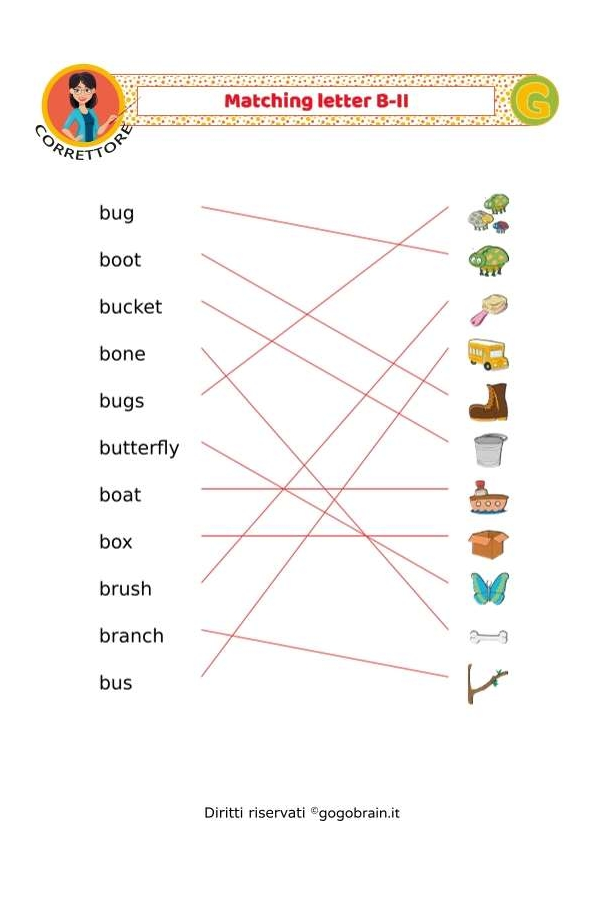 Collega i nomi alle immagini - Lettera B - II