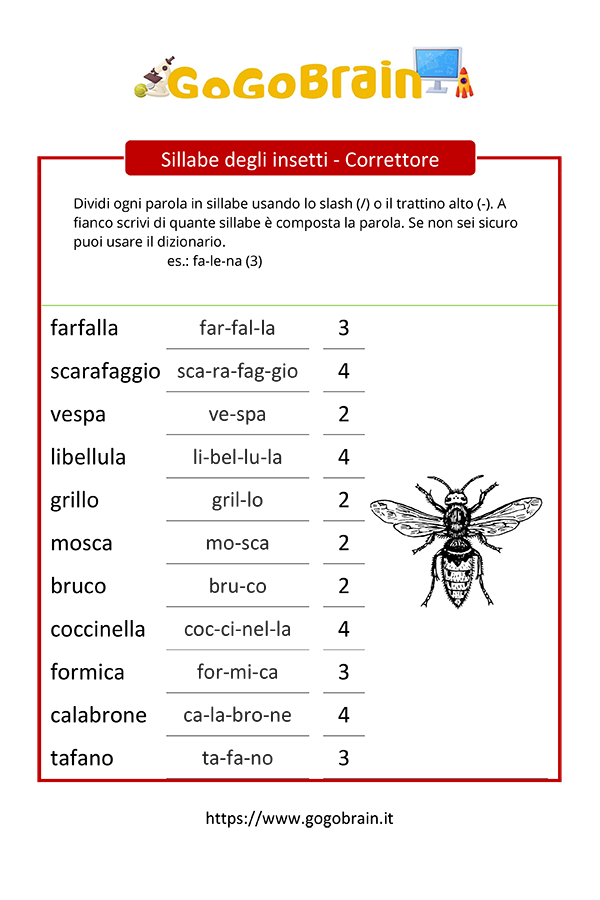 Sillabe degli insetti