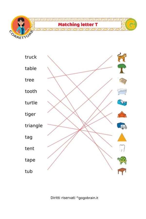 Collega i nomi alle immagini - Lettere T