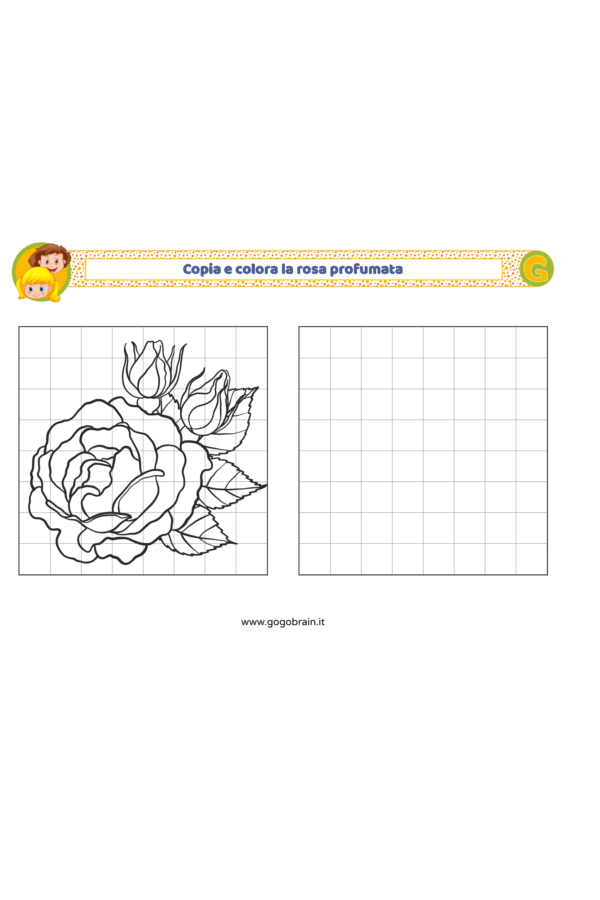 Copia e colora la rosa