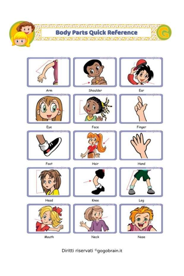 Guida veloce alle parti del corpo in inglese