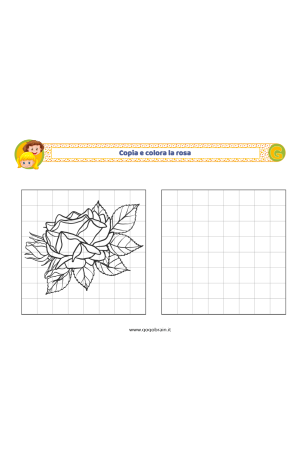 Copia e colora la rosa profumata