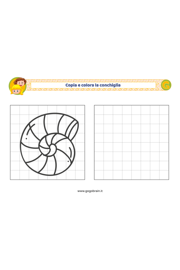 Copia e colora la conchiglia